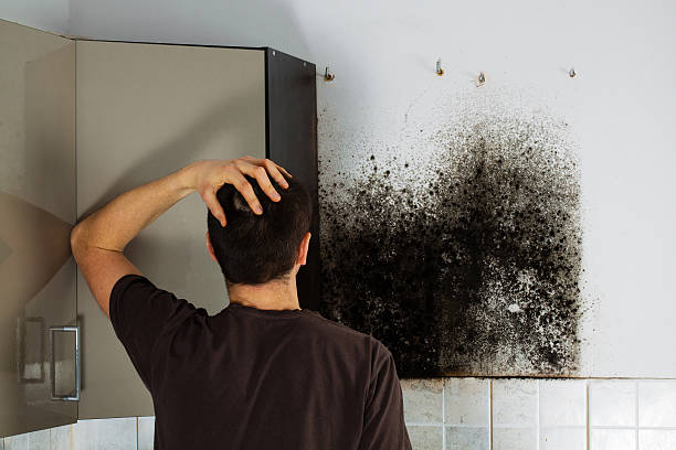 Best Mold Removal for HVAC Installations  in Sherrill, NY